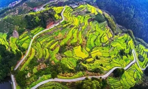 浙江最美的古村，全在浦江～