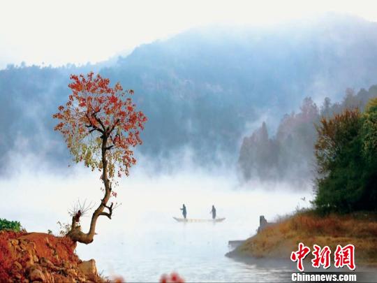 浙江浦江鄉(xiāng)村逆襲記：精耕細作煥新顏 青山綠水入畫來。浦江縣農(nóng)辦提供