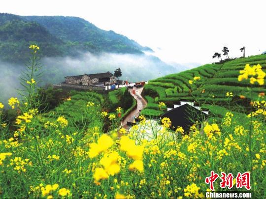 浙江浦江鄉(xiāng)村逆襲記：精耕細作煥新顏 青山綠水入畫來。浦江縣農(nóng)辦提供